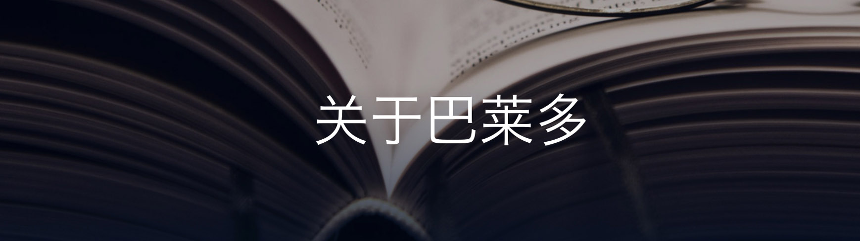 巴莱多（北京）咨询有限公司