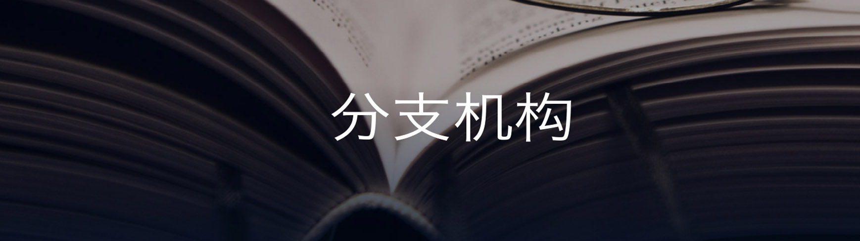 巴莱多（北京）咨询有限公司